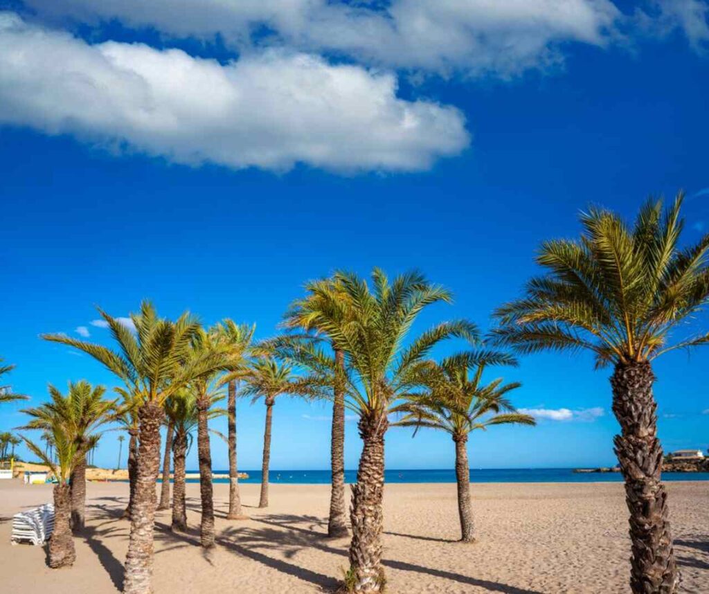 Playa del Arenal, Jávea (Javea): Guía Actualizada 2025 1 5 Easy Resize.com 2 1