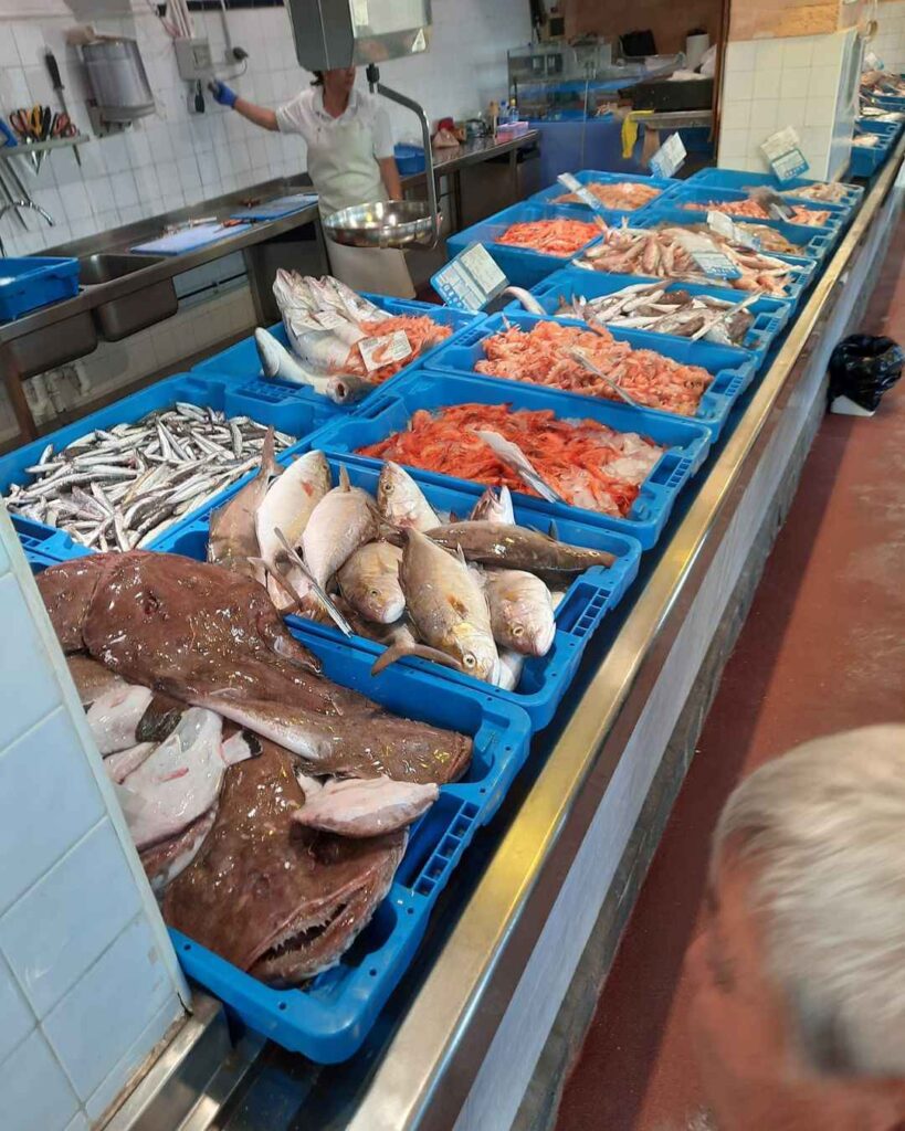 Diseno sin titulo 2025 12 10T131640.968 1