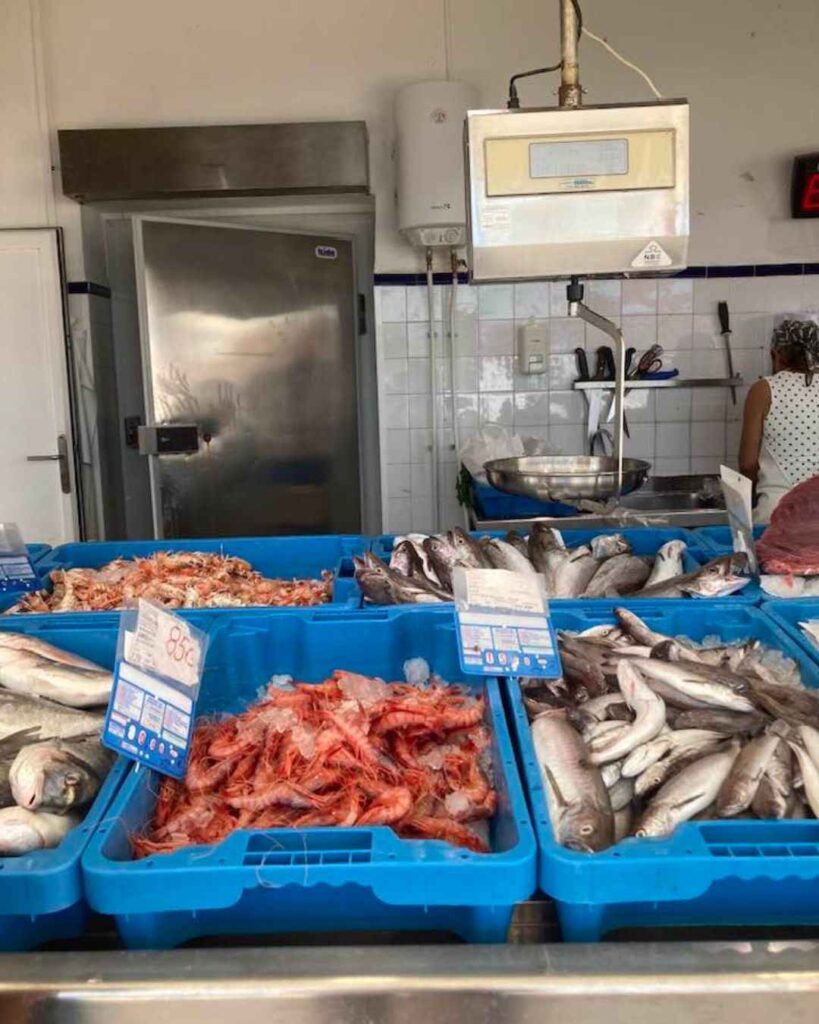 Diseno sin titulo 2025 12 10T131649.611 1